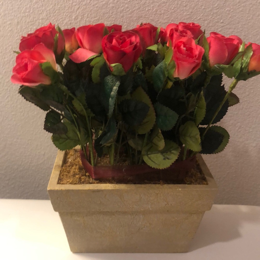 Flowers - Picture 2 of 3